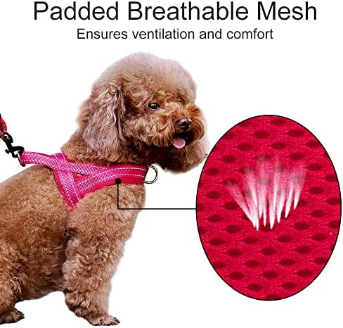Plutus Pet No Pull Dog Harness for Medium Sized Dog, Breathable Mesh Padded