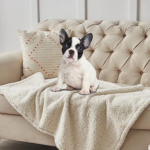 Qeils Dog Blankets for Large Dogs - Waterproof Pet Blanket Washable - Sherpa Fleece Puppy Blanket, Soft Plush Reversible Dog Blanket for Bed Couch Car Sofa, 50"X60", Grey Paw Print