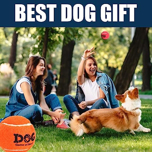 AMA SPORT Tennis Balls for Dogs 12 Pack 2.5" Orange Dog Tennis Balls for Puppy Small Medium Dog Toys, Designed for Dogs Floating, Water-Hunting, Fetch, Fun Playing, Daily Exercise, Mid-air Catching