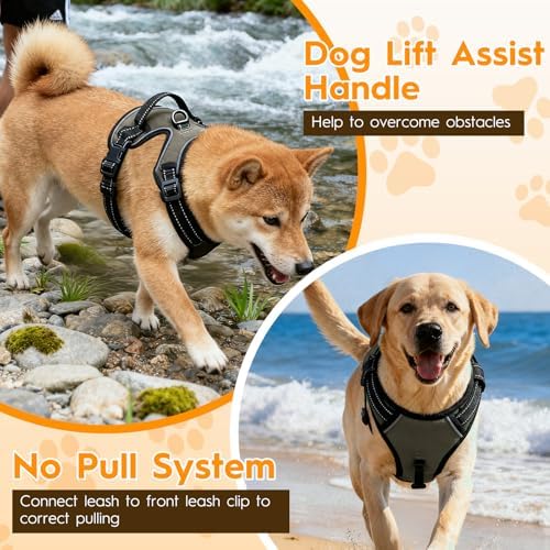 No Pull Dog Harness, No-Choke Soft Padded Reflective Dog Vest Harness with Front Clip & Top Handle, 2 Quick-Release Buckles, Adjustable for Small Medium Large Dogs