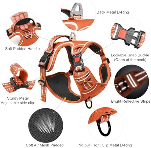 Timos Dog Harness Small Sized, Neck Quick Release with 3 Buckles, Orange, S