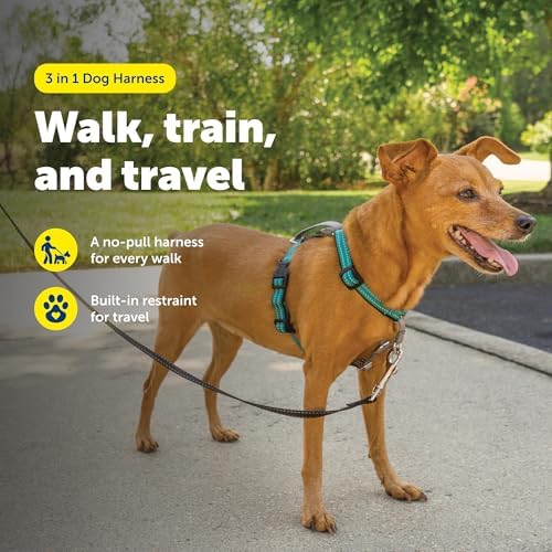 PetSafe Easy Walk 3 in 1 No Pull Dog Harness, Teal, Extra Small