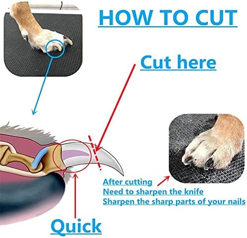 Dog Nail Trimmer,Dog Nail File,Dog Nail Clippers with Safety Guard,Professional Pet Nail Clippers Stainless Steel Grooming Tool, Anti-Slip Handles for Small Large Breeds (Medium/Large)