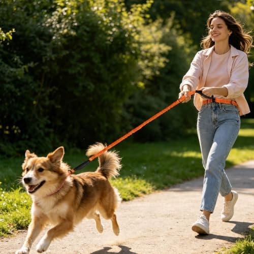 Hands Free Dog Leash, Adjustable Waist Belt 27-51", 2 Reflective Padded Handles, Comfortable Shock Absorbing Bungee, for Small Medium Large Dogs, Walking Jogging Running