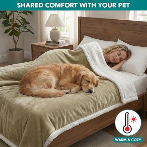PetAmi Waterproof Dog Blanket for Large Dog Cat Pet, 60x80, Taupe