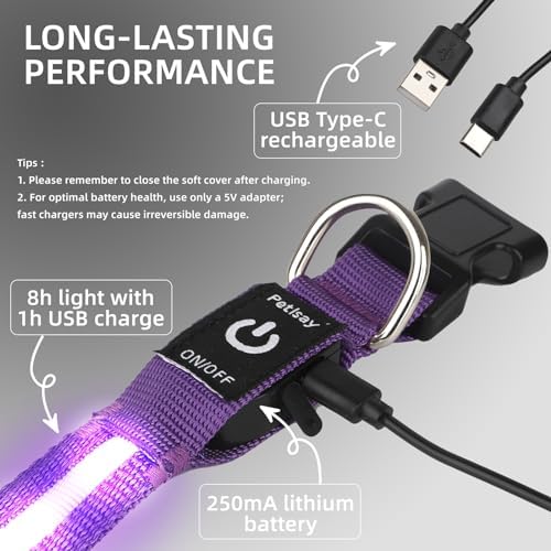 Super Bright LED Dog Collar, Waterproof Light up Collars(Purple, X-Small)
