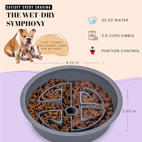 AVERYDAY Slow Feeder Dog Bowls for Large Breeds Fits Raised Feeding Station, Puzzle Dog Food Bowls to Slow Down Eating, Dogs Feeding Bowl with Non-Slip, Slows Feeder Pet Bowl for Wet and Dry Food