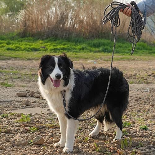 NTR 6FT Training Leash, Purple Rope Leash with Swivel Lockable Hook, Reflective Thread, Padded Handle, Dog Lead line for Walking, Hunting, Camping, Backyard for Small Medium Large Dogs, Black