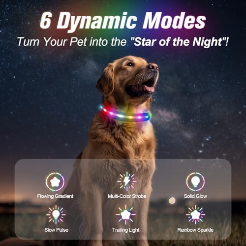 LED Dog Collar, RGB Light Up Dog Collar USB Rechargeable 6 Modes