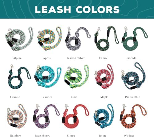 Wilderdog Climbing Rope Quick Clip Dog Leash - 5 ft - Alpine