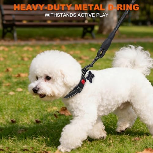 Taglory Reflective Small Dog Collar, Comfortable for Safe Night Walks,Black