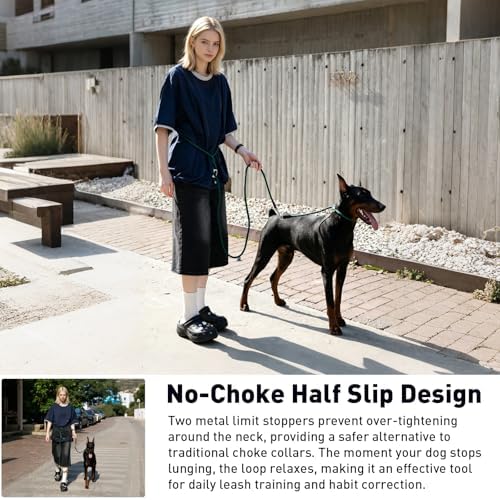 ETIAL No Pull Dog Leash for Large Dogs that Pull | Half Slip Rope Training Leash with Metal Locking Carabiner | Adjustable 120-210cm, No Choke, Anti-Escape, Heavy Duty Nylon (L)