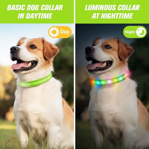 LED Dog Collar, RGB Light Up Dog Collar USB Rechargeable 6 Modes