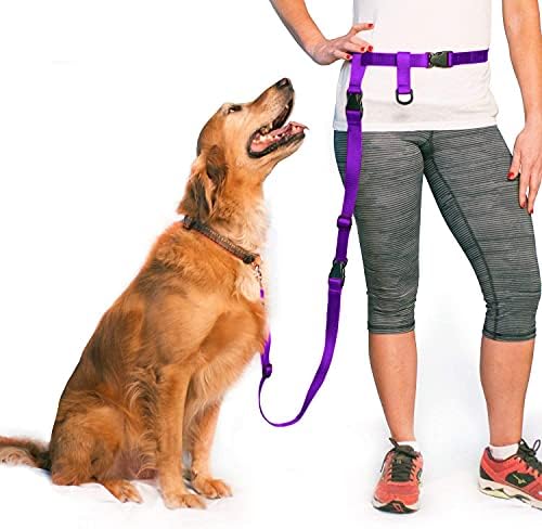 The Buddy System - Extend A Buddy, Leash Extender - Regular Dog, Purple