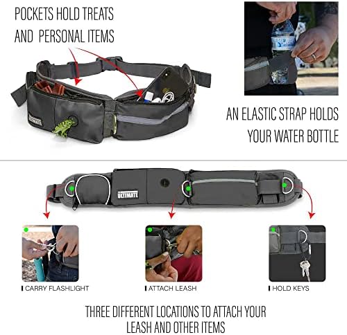 TAKSIN The Ultimate Hands Free Two Dogs Double Leash System for Walking Running Hiking Training, Reflective Bungee Leash, Treat Holder, Poop Bag Dispenser for Small Medium Large Dogs (Grey Pack)