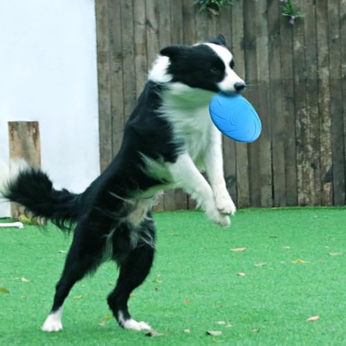 Nonslip Dog Flying Discs Chew Outdoor Toy Rubber Soft Training Exercise for Active Pet Dog Disc Chew