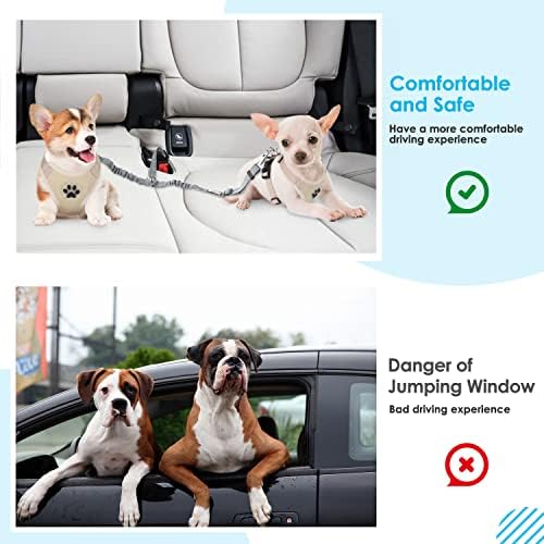 SlowTon Double Dog Seat Belt for Car with Elastic Bungee Buffer, Adjustable