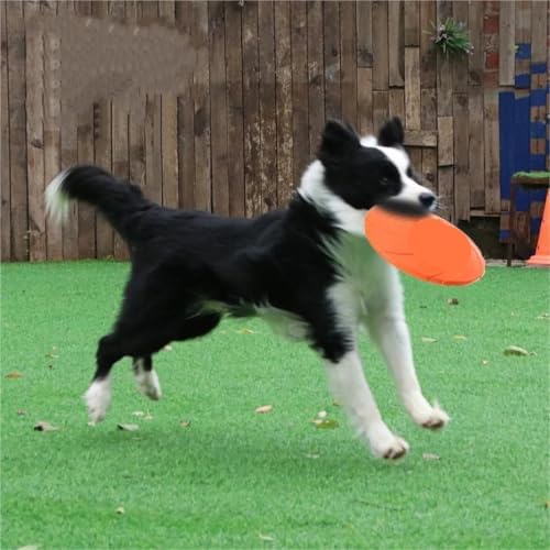 Interactive Silicone Flying Saucer Toy for Dogs and Cats Chew Resistant Flying Disc Pet Game Perfect(Red,M-18CM)