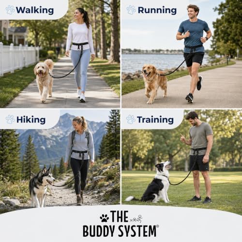 The Buddy System - Hands Free Dog Leash - Regular Dog, Large, Black