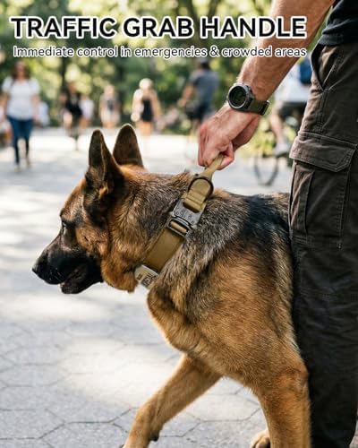 Joytale Tactical Dog Collar for Extra Large Dogs, Control Handle, Khaki