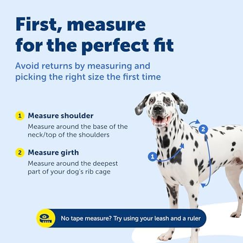 PetSafe Easy Walk 3 in 1 No Pull Dog Harness, Teal, Large