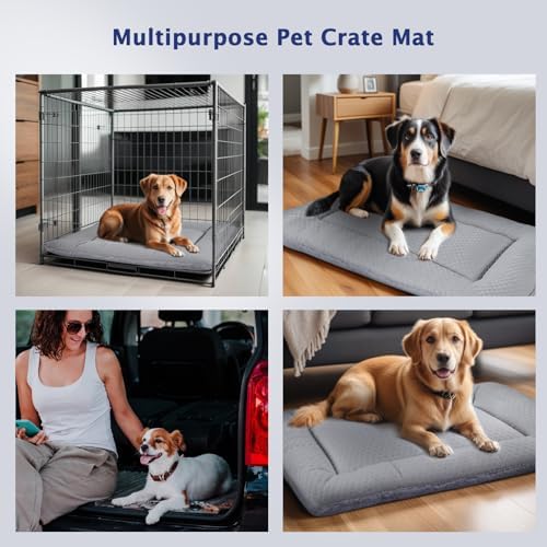 Dog Bed Mat, Crate Pad Reversible,Soft Kennel Pad, Washable Dog Crate Mat (Cool and Warm),Pet Sleeping Mattress for Small Medium Dogs XB009 (24''x18'',Grey)