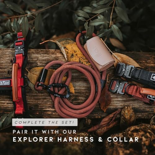 MADE TO ROAM Premium Explorer Leash - Climbing Rope Leash with Autolocking Aviation Aluminum Carabiner - Virginia Mountains, 4ft