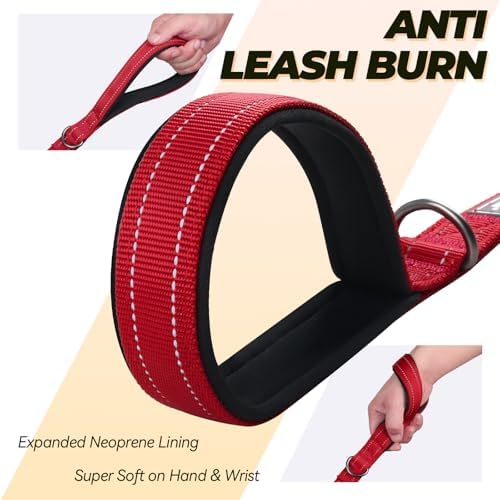 VIVAGLORY Double Handle Dog Leash Twingrip, 5ft x 1in, Red