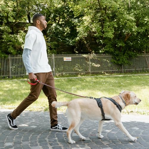 Chain Dog Leash, Bite-Proof Metal Leash, with Padded Handle