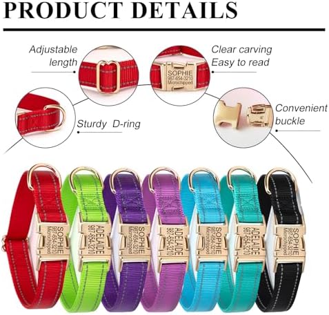 Personalized Reflective Nylon Dog Collar with Golden Buckle, Teal