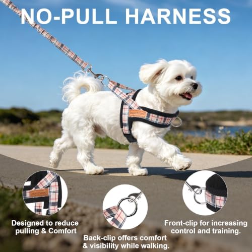 BEAUTYZOO Small Dog Harness and Leash Set, No Pull Step in Puppy Vest