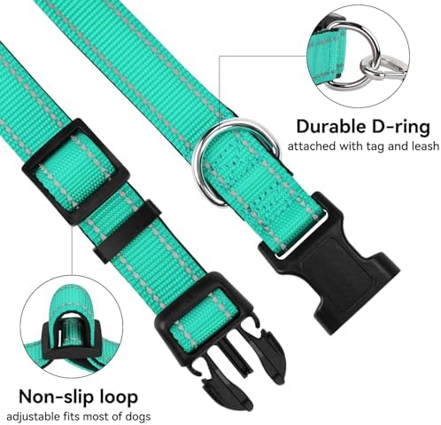 Reflective Dog Collar for Mediunm Dogs, Adjustable Collar with Soft Neoprene Padded, Durable Buckle for Daily Walking,Teal,M, 1" Width