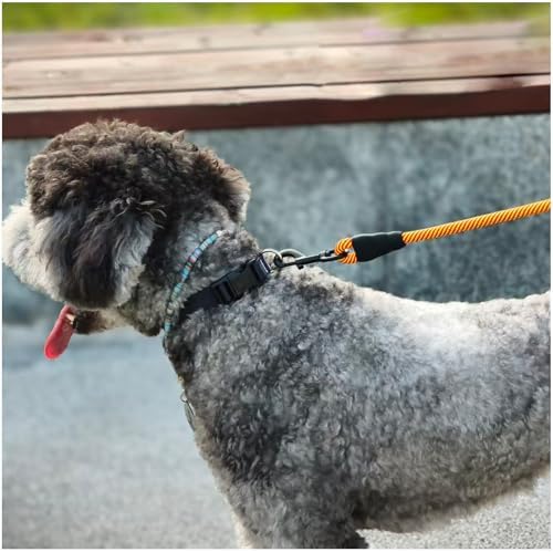 MayPaw Heavy Duty Rope Dog Leash, 3/4/5/6/7/8/10/12/15 FT Nylon Pet Leash, Soft Padded Handle Thick Lead Leashes for Large Medium Dogs (Orange, 1/2" * 8')