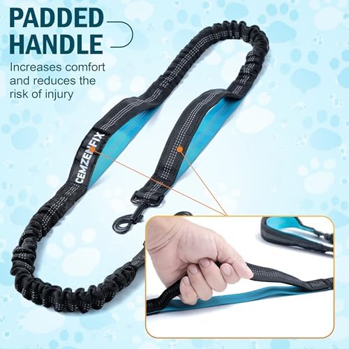 Hands Free Dog Leash with Waist Belt – No-Pull Bungee, Dual Padded Handles & Zipper Pouch for Running, Walking & Training – Adjustable Waist Leash for Large & Medium Dogs
