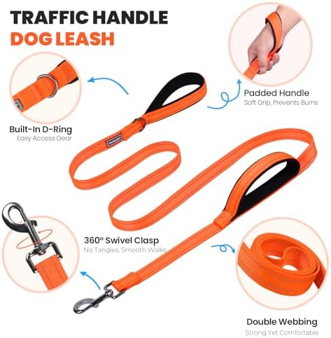 VIVAGLORY Double Handle Dog Leash Twingrip, 5ft x 1in, M2, Orange