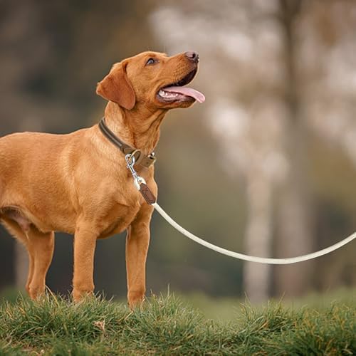 Mile High Life Dog Leash with Genuine Leather-Wrapped Ends/Handle, 4/5/6FT