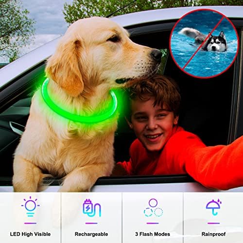 Light Up Dog Collar, USB Rechargeable, LED, Green