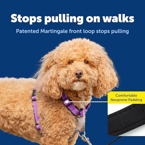 PetSafe 3 in 1 Dog Harness - No Pull Solution for Dogs - Reflective Dog Harness - Front D-Ring Clip Helps Stop Pulling - Comfortable Padded Straps - Top Handle Enhances Control - Plum - Small