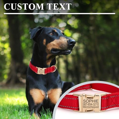 Personalized Reflective Nylon Dog Collar with Golden Buckle, Teal
