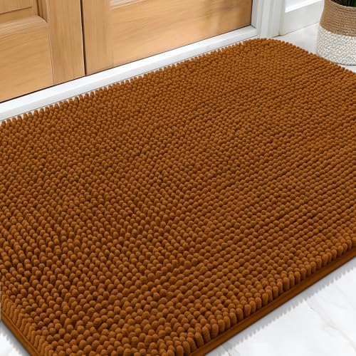 OLANLY Dog Door Mat for Muddy Paws 30x20, Super Absorbent Chenille Mud Mat