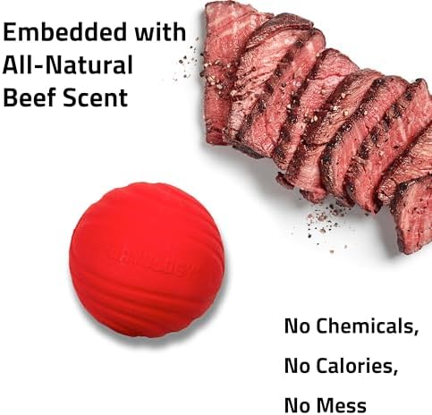 Playology Durable Large Dual Layer Dog Ball - Jumbo, Beef Scent