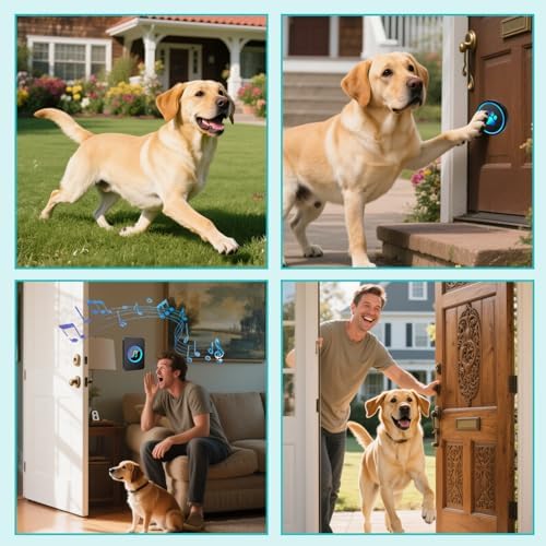 Dog Door Bell for Potty Training, Smart Wireless Doggie Doorbell to Go Outside, 1000 Feet Long Range with IP65 Waterproof Super-Light Touch Button, 60 Melodies & Adjustable Volume (1Black)