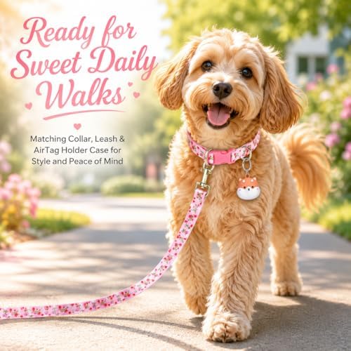 Floral Matching Dog Collar and Leash Set with AirTag Holder-Valentine's/S