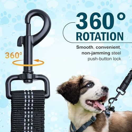 Hands Free Dog Leash for 2 Dogs – Waist Leash for Dog Walking with Dual Bungee, Reflective No Pull Design, Adjustable Belt & Pouch for Running, Hiking, Jogging