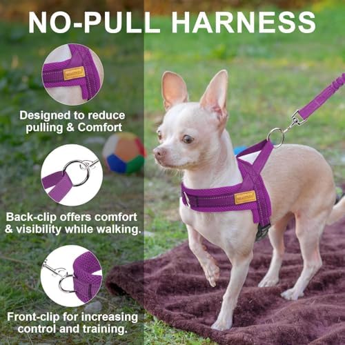 BEAUTYZOO Small Dog Harness and Leash Set, No Pull Step in Puppy Vest