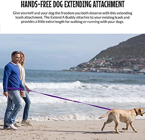The Buddy System - Extend A Buddy, Leash Extender - Regular Dog, Purple