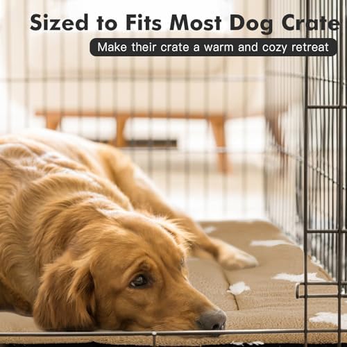 Mora Pets Dog Crate Pad Washable Puppy Dog Bed for Crate Flat Kennel Mat