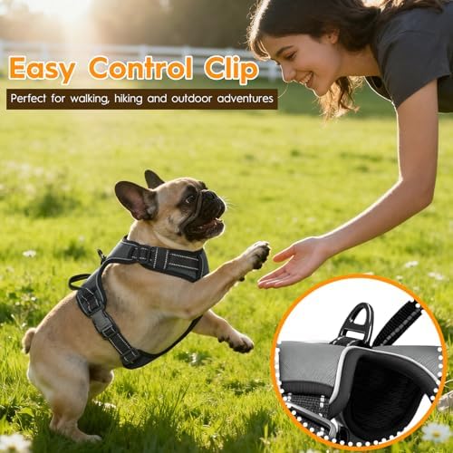 No Pull Dog Harness, No-Choke Soft Padded Reflective Dog Vest Harness with Front Clip & Top Handle, 2 Quick-Release Buckles, Adjustable for Small Medium Large Dogs