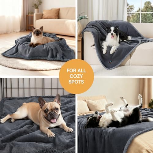 Luciphia Waterproof Pet Blanket, Liquid Pee Proof Dog Blanket for Sofa Bed Couch, Reversible Sherpa Fleece Furniture Protector Cover for Small Medium Large Dogs Cats, Dark Gray Large（65" x 57"）