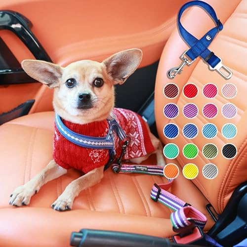 Blueberry Pet Dog Leash Puppy Essentials Seat Belt Tether for Dogs Cats, Fired Brick, Heavy Duty Dog Leashes for Large Dogs - Safety for Pet Parents, Road Trip Enthusiasts, 2"x27.5"
